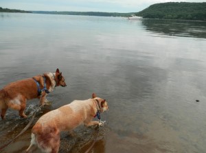 Cay and Chase in River-2