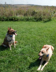 Chase and Cay at Blue Mound SP-2