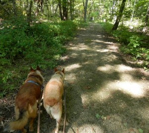 Chase and Cay at Blue Mound SP-3