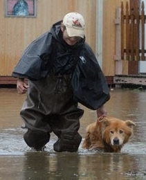 Person with Dog in Flood