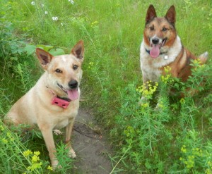 Cay and Chase on Hill-2