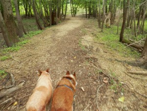 Cay and Chase on Trail-2